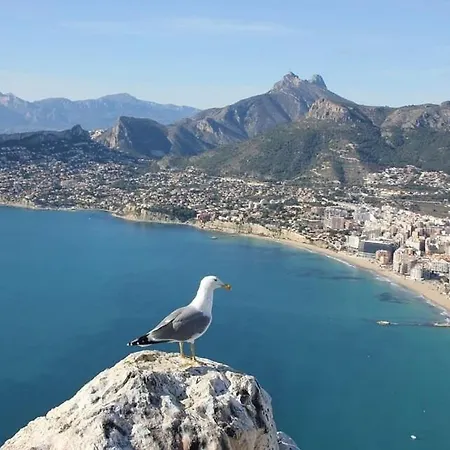 Arenal 5 - Plusholidays * Calpe